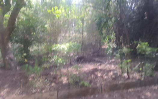 10K Sqft land in Anjanapura