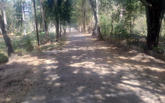 10K Sqft land in Anjanapura